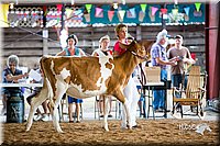 LCFair2016-4200.jpg