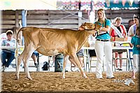 LCFair2016-4201.jpg