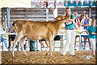 LCFair2016-4202.jpg