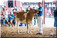 LCFair2016-4203.jpg