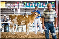 LCFair2016-4204.jpg