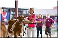 LCFair2016-4205.jpg