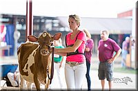 LCFair2016-4206.jpg