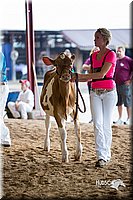 LCFair2016-4207.jpg