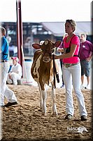 LCFair2016-4208.jpg