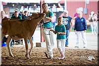 LCFair2016-4209.jpg