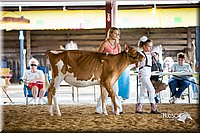 LCFair2016-4210.jpg