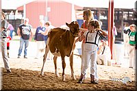 LCFair2016-4211.jpg