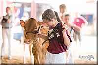 LCFair2016-4212.jpg