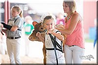 LCFair2016-4213.jpg