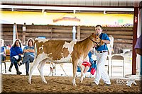 LCFair2016-4215.jpg