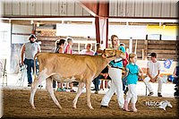 LCFair2016-4216.jpg