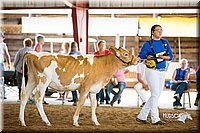 LCFair2016-4217.jpg