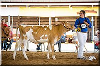 LCFair2016-4218.jpg