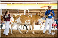 LCFair2016-4219.jpg