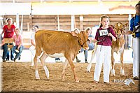 LCFair2016-4221.jpg