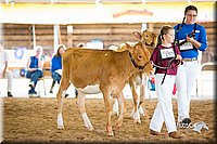 LCFair2016-4222.jpg