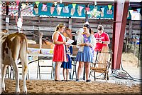 LCFair2016-4223.jpg