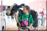 LCFair2016-4227.jpg