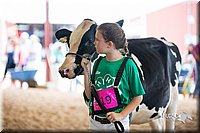 LCFair2016-4229.jpg