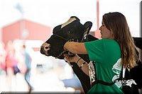 LCFair2016-4231.jpg