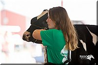 LCFair2016-4232.jpg