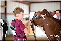 LCFair2016-4235.jpg