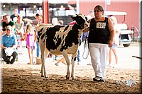 LCFair2016-4240.jpg