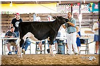 LCFair2016-4245.jpg