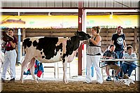 LCFair2016-4246.jpg