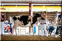 LCFair2016-4247.jpg