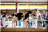 LCFair2016-4248.jpg