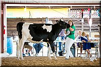 LCFair2016-4251.jpg