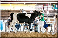 LCFair2016-4252.jpg