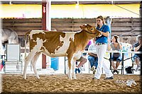 LCFair2016-4256.jpg