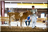 LCFair2016-4258.jpg