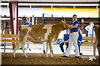 LCFair2016-4261.jpg