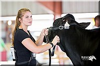 LCFair2016-4263.jpg