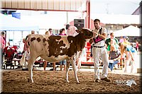 LCFair2016-4266.jpg