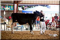 LCFair2016-4267.jpg