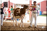 LCFair2016-4268.jpg