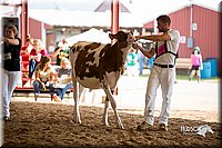 LCFair2016-4269.jpg