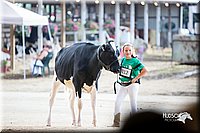 LCFair2016-4272.jpg