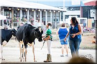 LCFair2016-4274.jpg