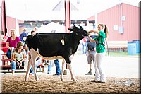 LCFair2016-4275.jpg