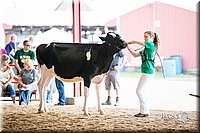 LCFair2016-4276.jpg