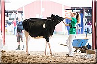 LCFair2016-4277.jpg