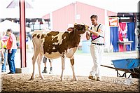 LCFair2016-4280.jpg