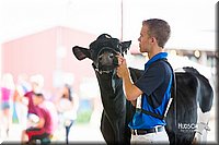 LCFair2016-4282.jpg