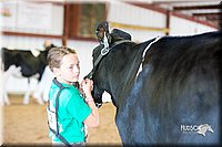 LCFair2016-4284.jpg